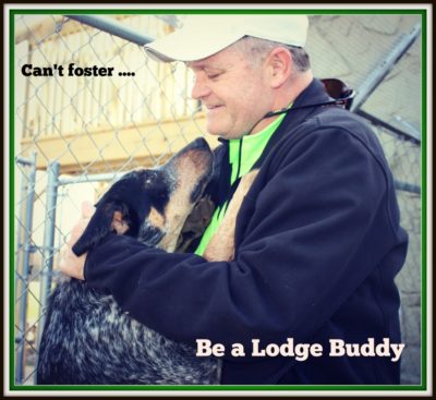 Lodge Buddy