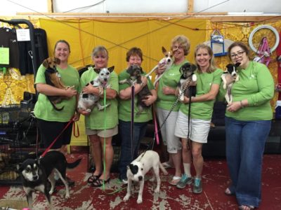 Volunteers holding pups